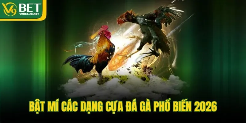 Bật mí các dạng cựa đá gà phổ biến 2026