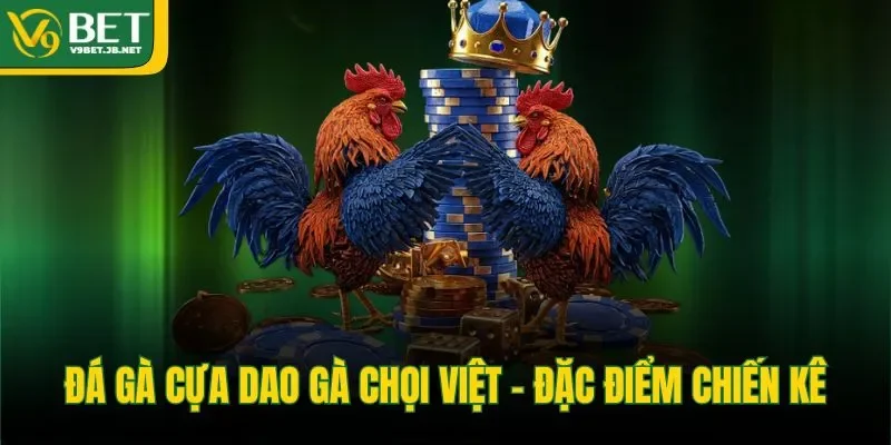 Đá gà cựa dao gà chọi Việt - đặc điểm chiến kê