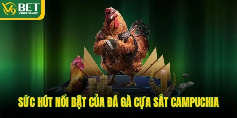 Sức hút nổi bật của đá gà cựa sắt Campuchia 