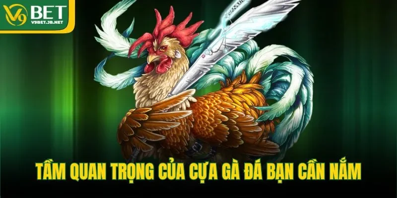 Tầm quan trọng của cựa gà đá bạn cần nắm