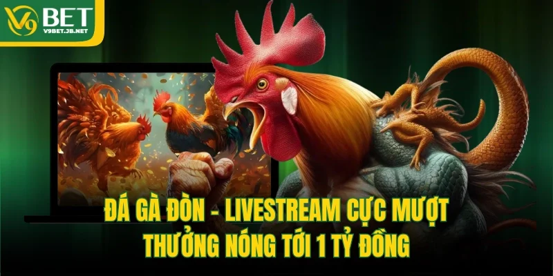 Đá Gà Đòn - Livestream Cực Mượt, Thưởng Nóng Tới 1 Tỷ Đồng