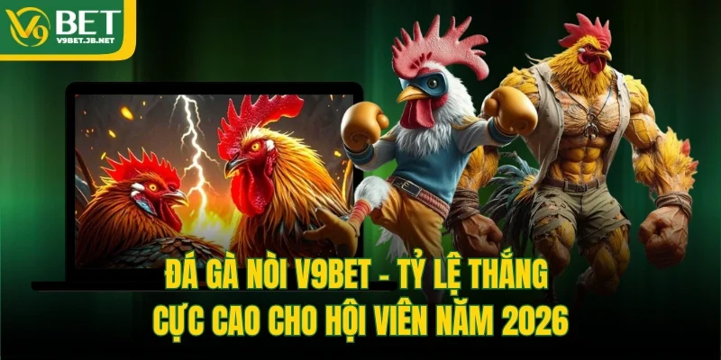 Đá Gà Nòi V9BET - Tỷ Lệ Thắng Cực Cao Cho Hội Viên Năm 2026